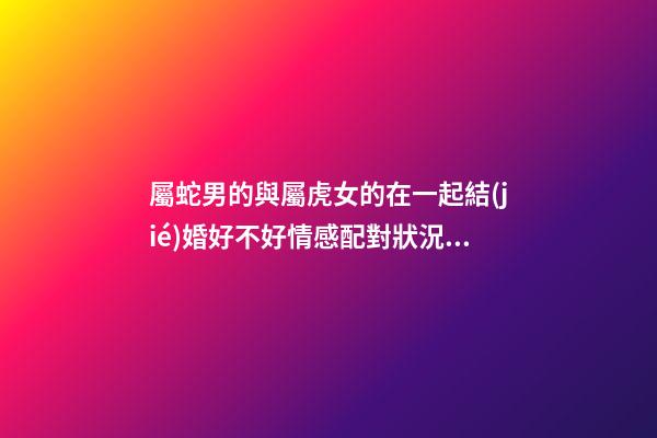 屬蛇男的與屬虎女的在一起結(jié)婚好不好情感配對狀況婚姻怎么樣 男蛇和女虎婚配相配嗎的夫妻結(jié)局
